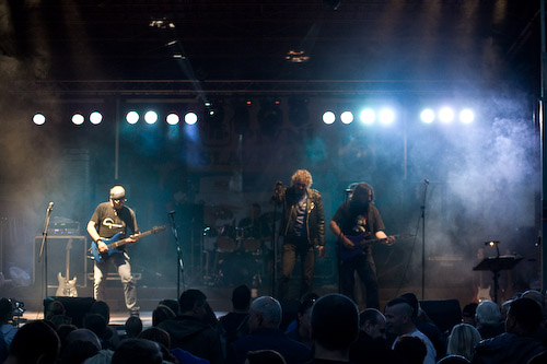 Pivní slavnosti / srpen 2014